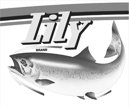 LILY BRAND
