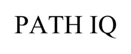 PATH IQ