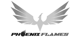 PHOENIX FLAMES