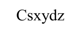 CSXYDZ