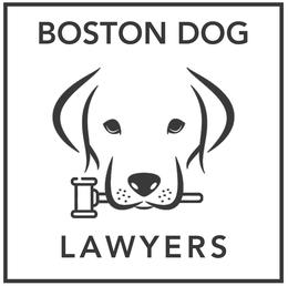 BOSTON DOG LAWYERS