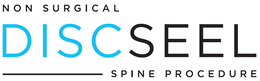 NON SURGICAL DISCSEEL SPINE PROCEDURE