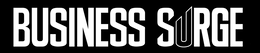 BUSINESS SURGE