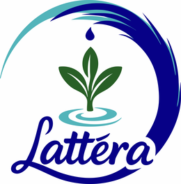 LATTÉRA