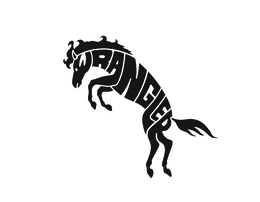 WRANGLER