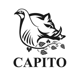 CAPITO