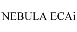 NEBULA ECAI