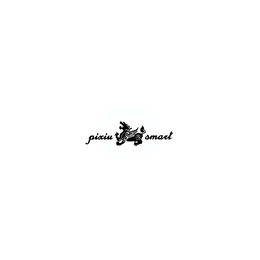 PIXIU SMART
