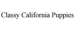 CLASSY CALIFORNIA PUPPIES