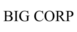 BIG CORP