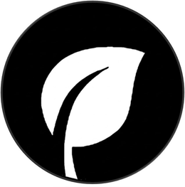 99295379