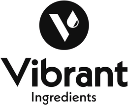 V VIBRANT INGREDIENTS