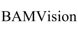 BAMVISION