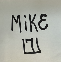 MIKE 171