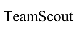 TEAMSCOUT