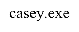 CASEY.EXE