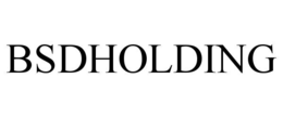 BSDHOLDING