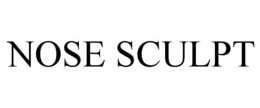 NOSE SCULPT