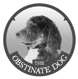 THE OBSTINATE DOG