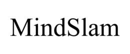 MINDSLAM
