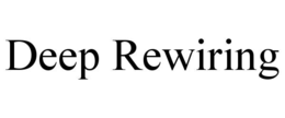 DEEP REWIRING