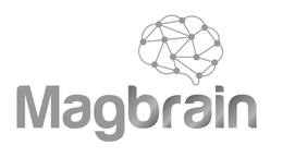 MAGBRAIN