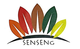 SENSENG