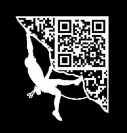 99355542
