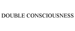 DOUBLE CONSCIOUSNESS