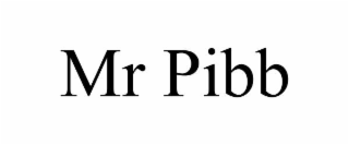 MR PIBB