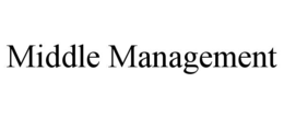 MIDDLE MANAGEMENT
