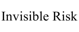 INVISIBLE RISK