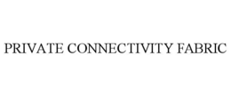 PRIVATE CONNECTIVITY FABRIC