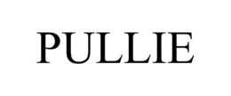 PULLIE
