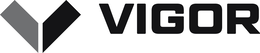 V VIGOR