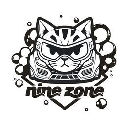 NINE ZONE