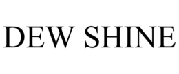 DEW SHINE