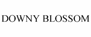 DOWNY BLOSSOM