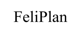 FELIPLAN