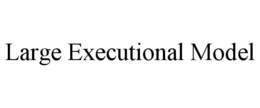 LARGE EXECUTIONAL MODEL