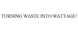 TURNING WASTE INTO WATTAGE!