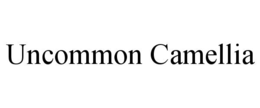 UNCOMMON CAMELLIA