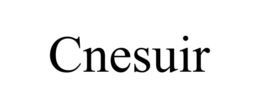 CNESUIR