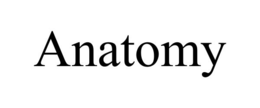 ANATOMY
