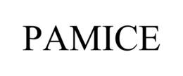 PAMICE