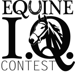 EQUINE I.Q. CONTEST