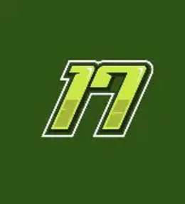 17