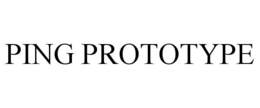 PING PROTOTYPE