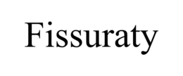 FISSURATY