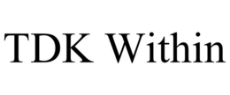 TDK WITHIN